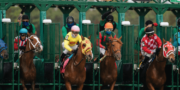 Thoroughbred race