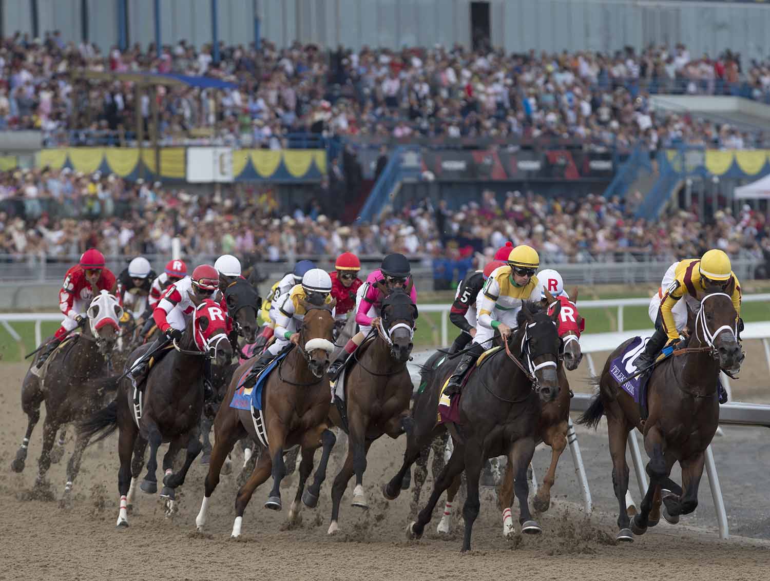 Thoroughbred horses competing for Queen's Plate at Woodbine Racetrack.