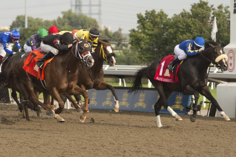 Safe Conduct at the finish line winning the 2021 Queens Plate on Aug 22, 2021 at Woodbine Racetrack
