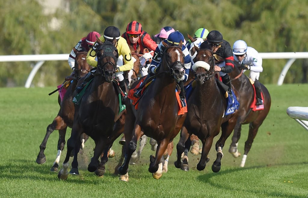 Million-dollar Queen’s Plate and Ricoh Woodbine Mile headline 2019 Thoroughbred stakes schedule