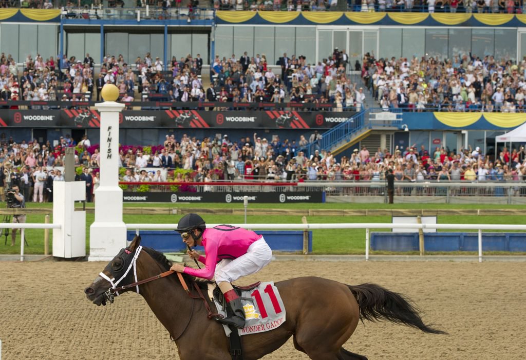 Tickets on sale now for the 2019 Queen’s Plate Racing Festival