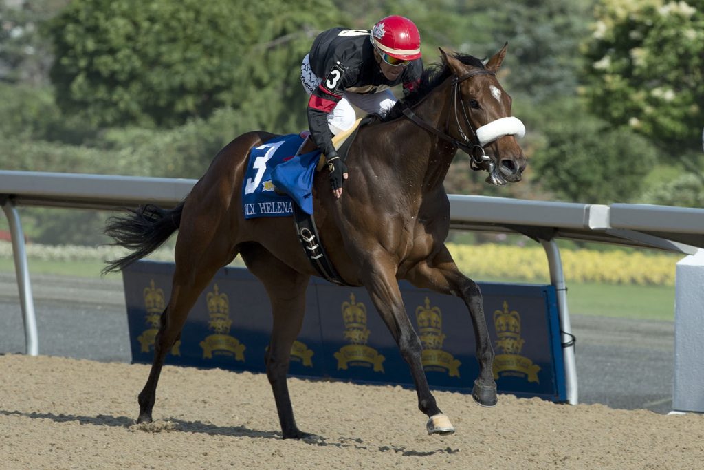 Queen’s Plate champion Holy Helena returns to Woodbine