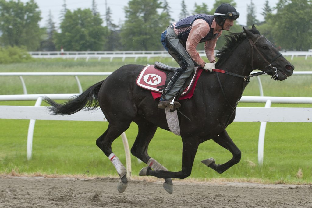 Queen's Plate notes for Tuesday, June 25, 2019