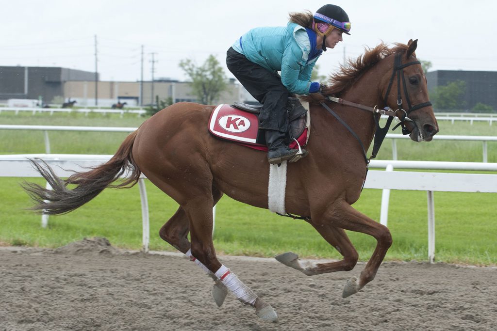 Queen's Plate notes for Saturday, June 22, 2019