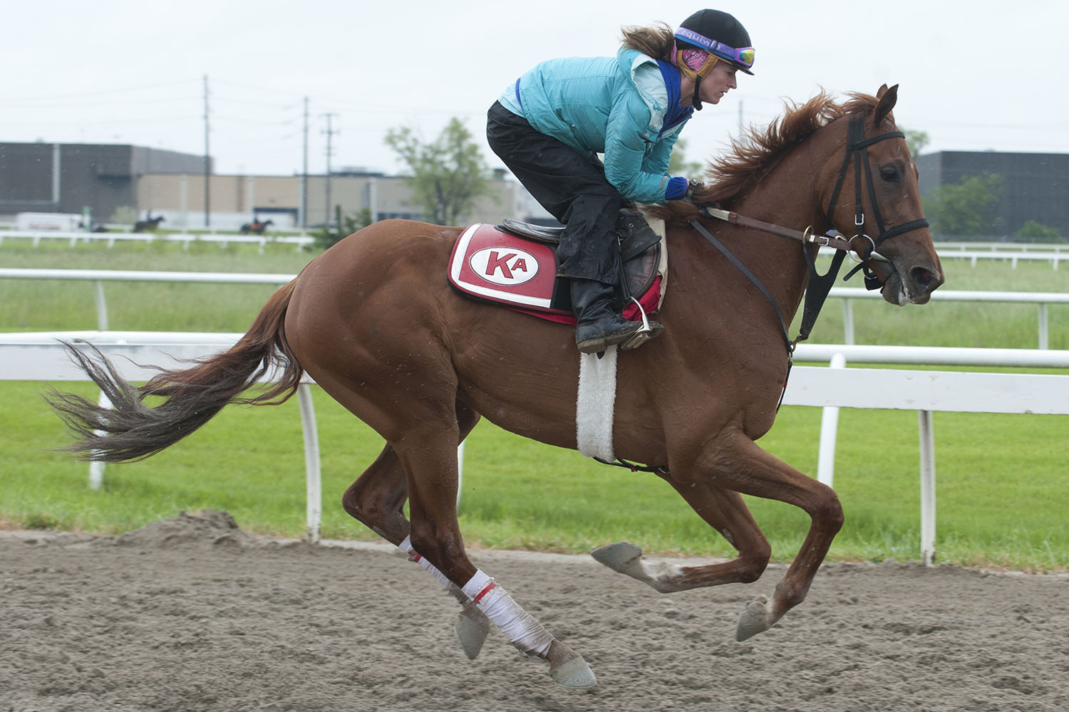 Queen's Plate notes for Saturday, June 22, 2019 - Kings Plate