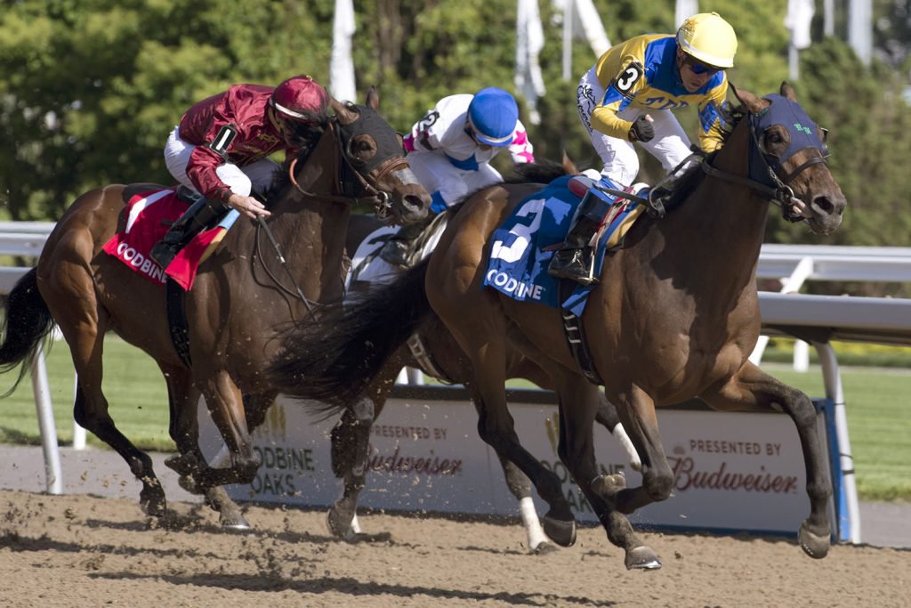 Pay for Peace pulls off 19-1 upset in the Plate Trial Stakes