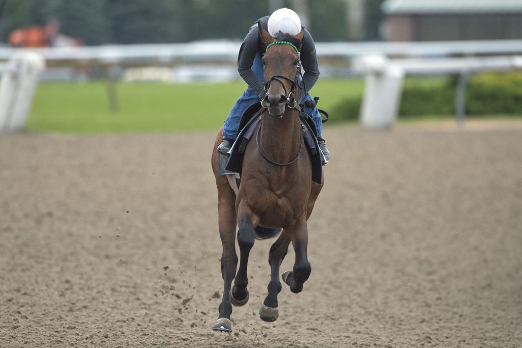 Queen's Plate notes for Wednesday, June 19, 2019