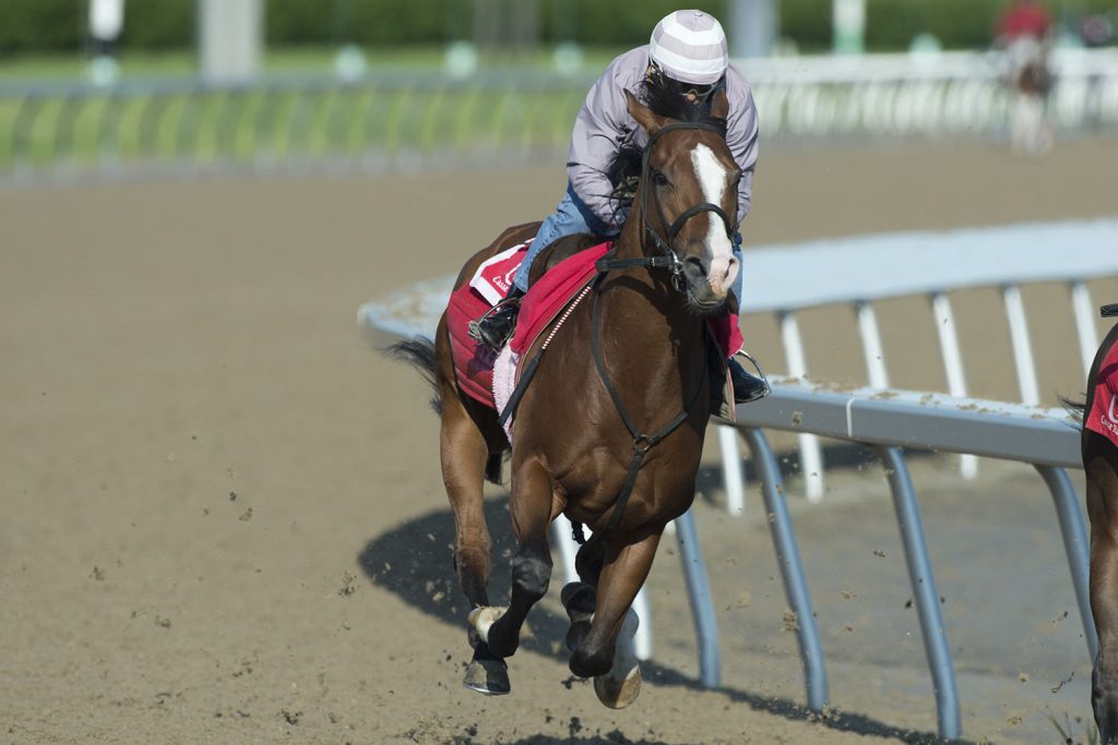Queen's Plate notes for Thursday, June 20, 2019