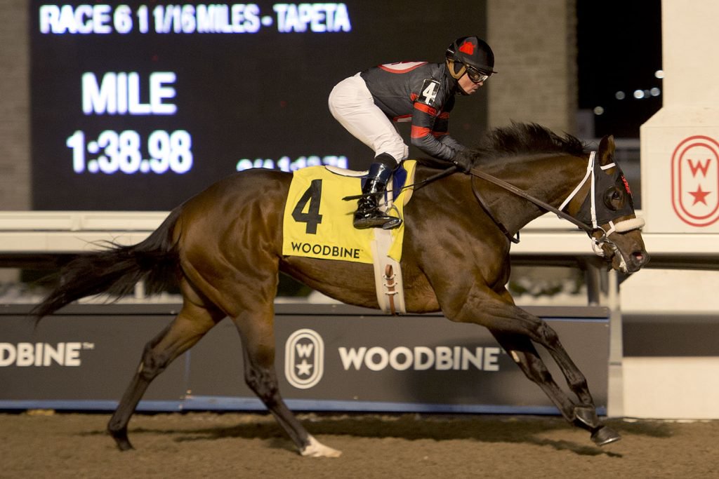 Queenston, Eclipse on Saturday’s plate at Woodbine