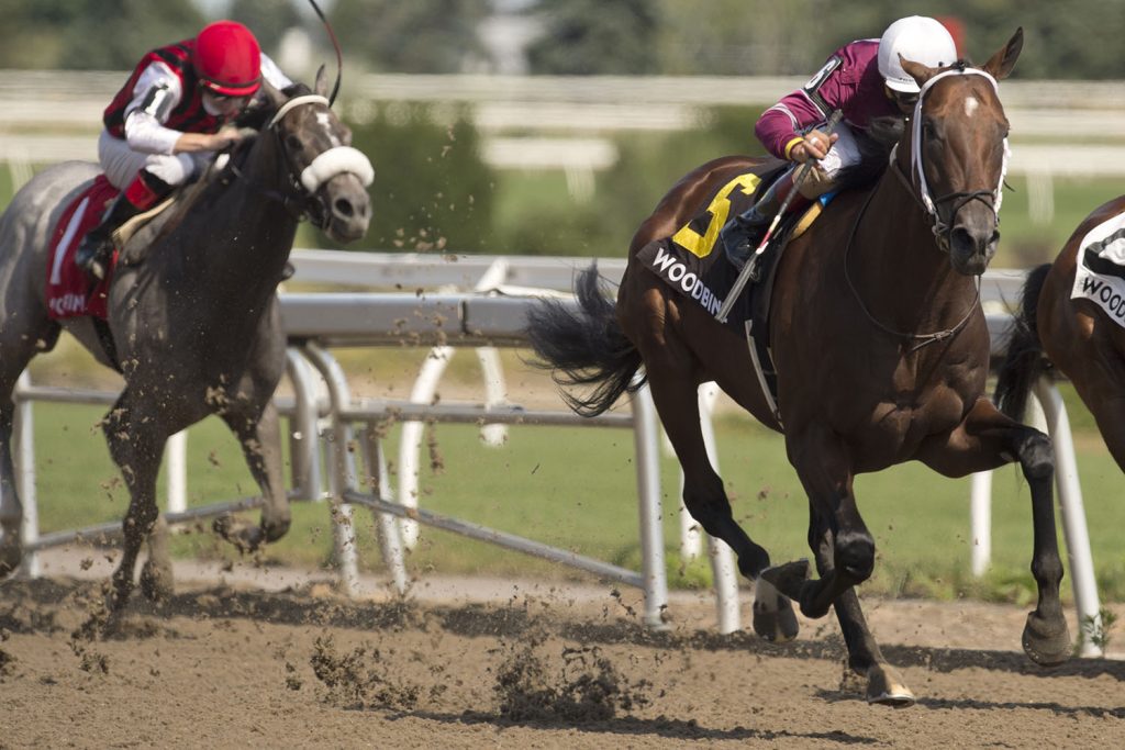 Halo Again tops 161st Queen’s Plate Power Rankings presented by the OLG Canadian Triple Crown