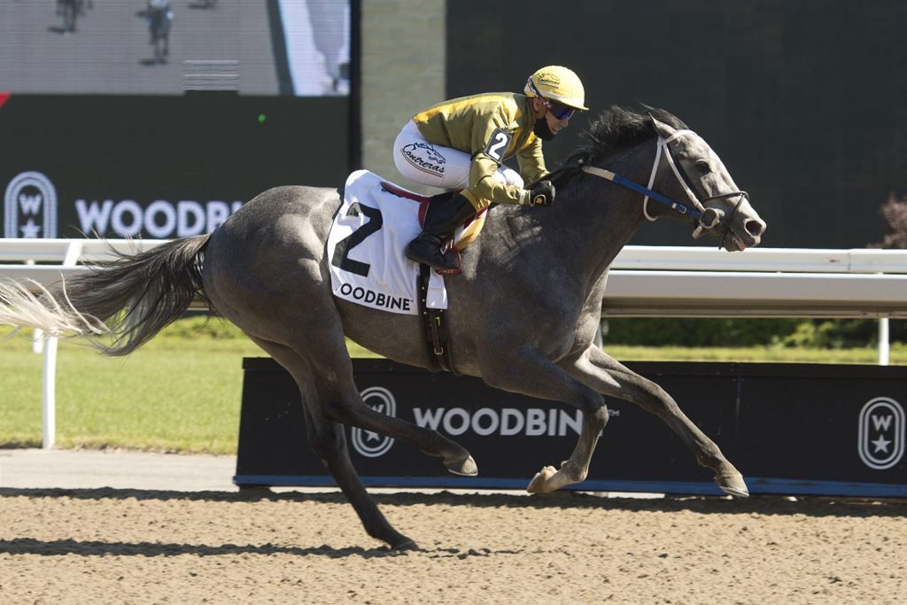 Newstome and Owlette win first stakes of the Woodbine meet