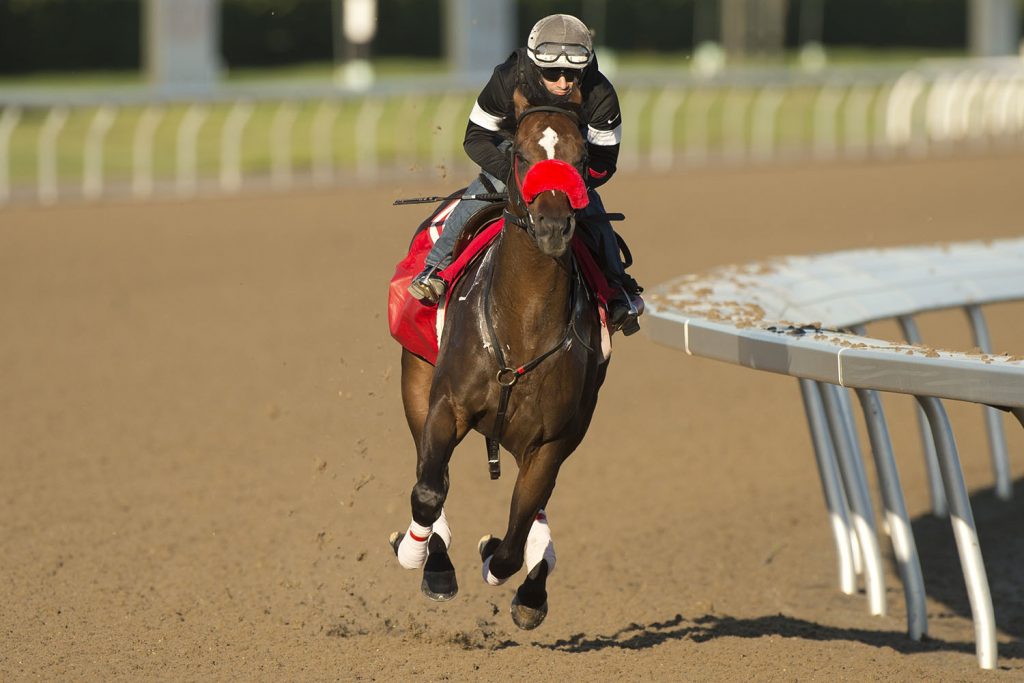 Clayton, Curlin’s Voyage face 12 rivals in compelling edition of Queen’s Plate