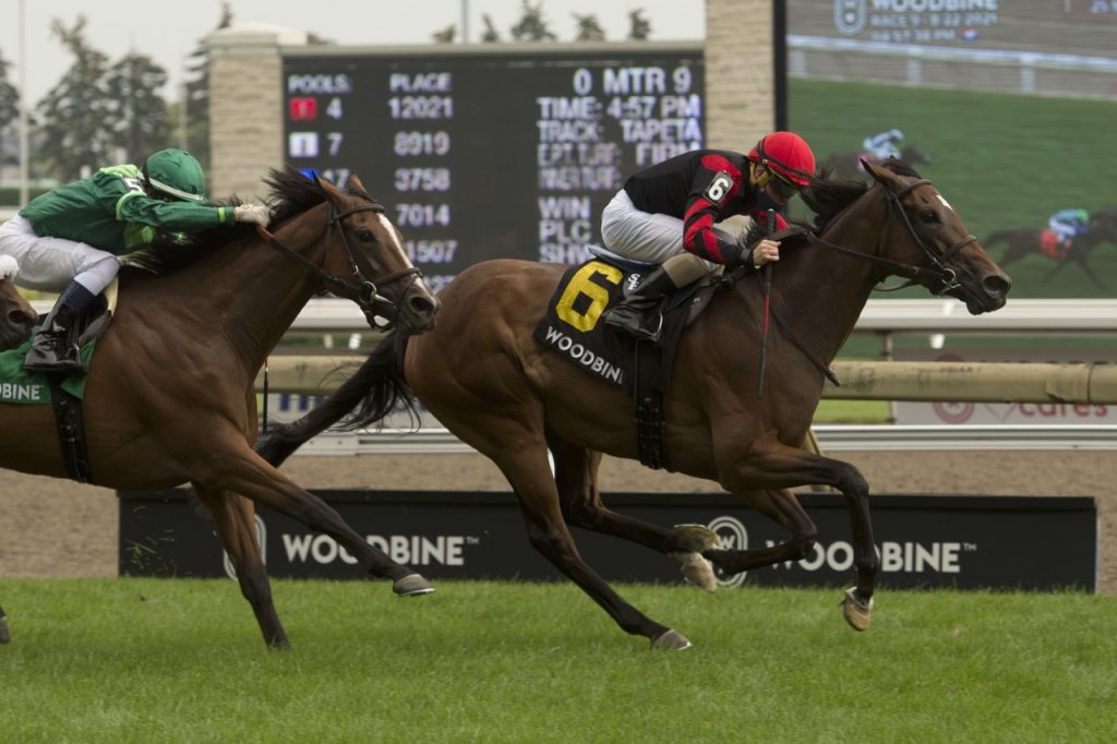 G1 Highlander, G2 Dance Smartly and G3 Ontario Colleen contested on Queen's Plate day