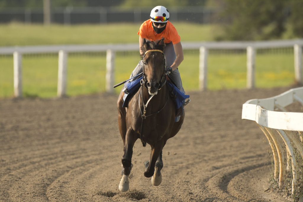 Queen's Plate Notes: Tuesday, August 17, 2021