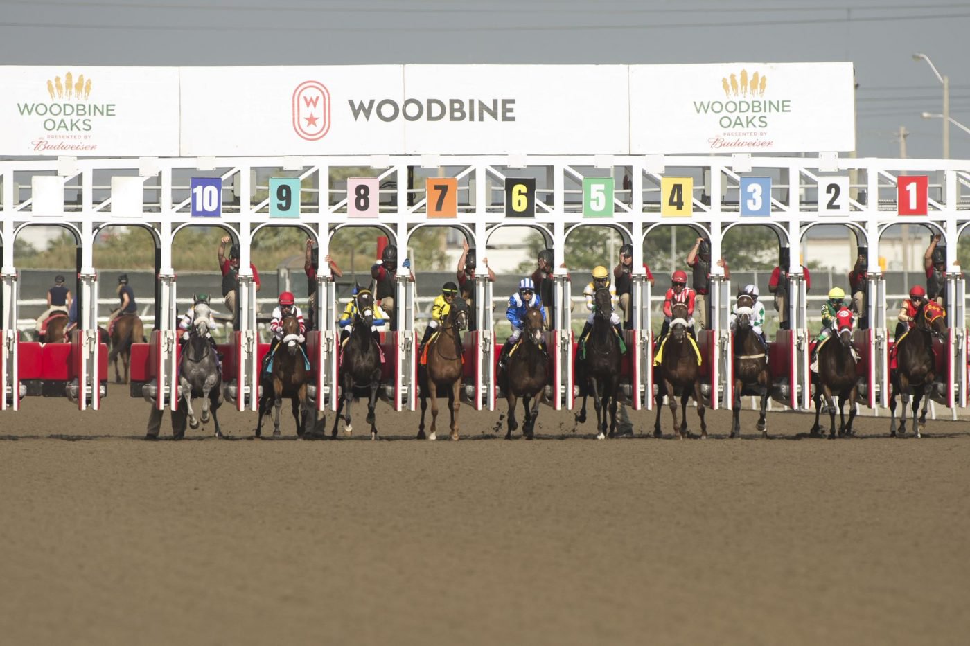 Nominations released for King’s Plate and Woodbine Oaks Kings Plate