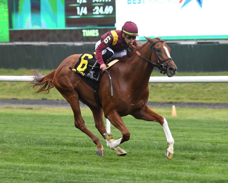 Kalik winning the Grade 2 Pennine Ridge on June 3 at Belmont Park.