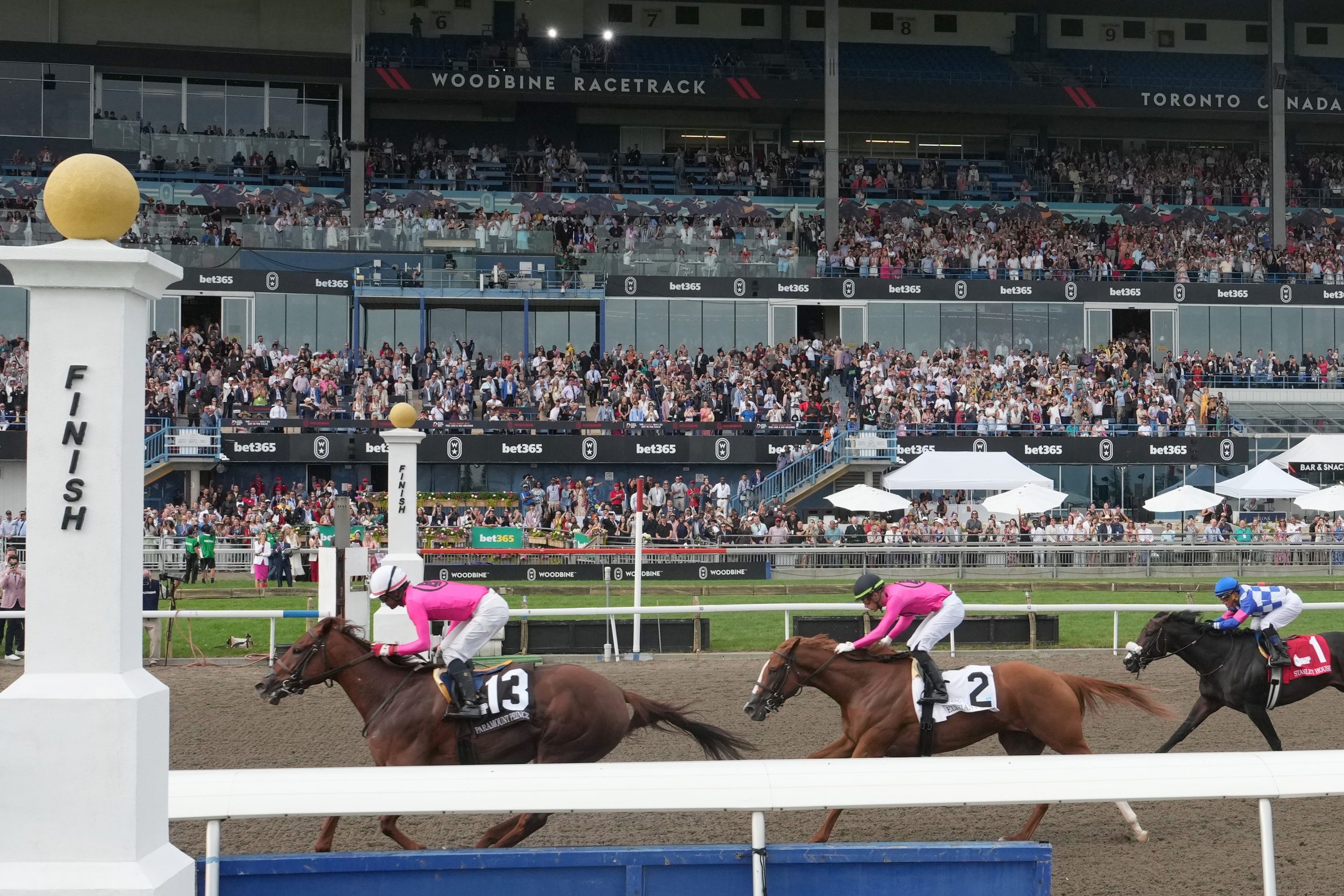 Paramount Prince and jockey Patrick Husbands winning The 164th King's Plate at Woodbine (Michael Burns Photo)