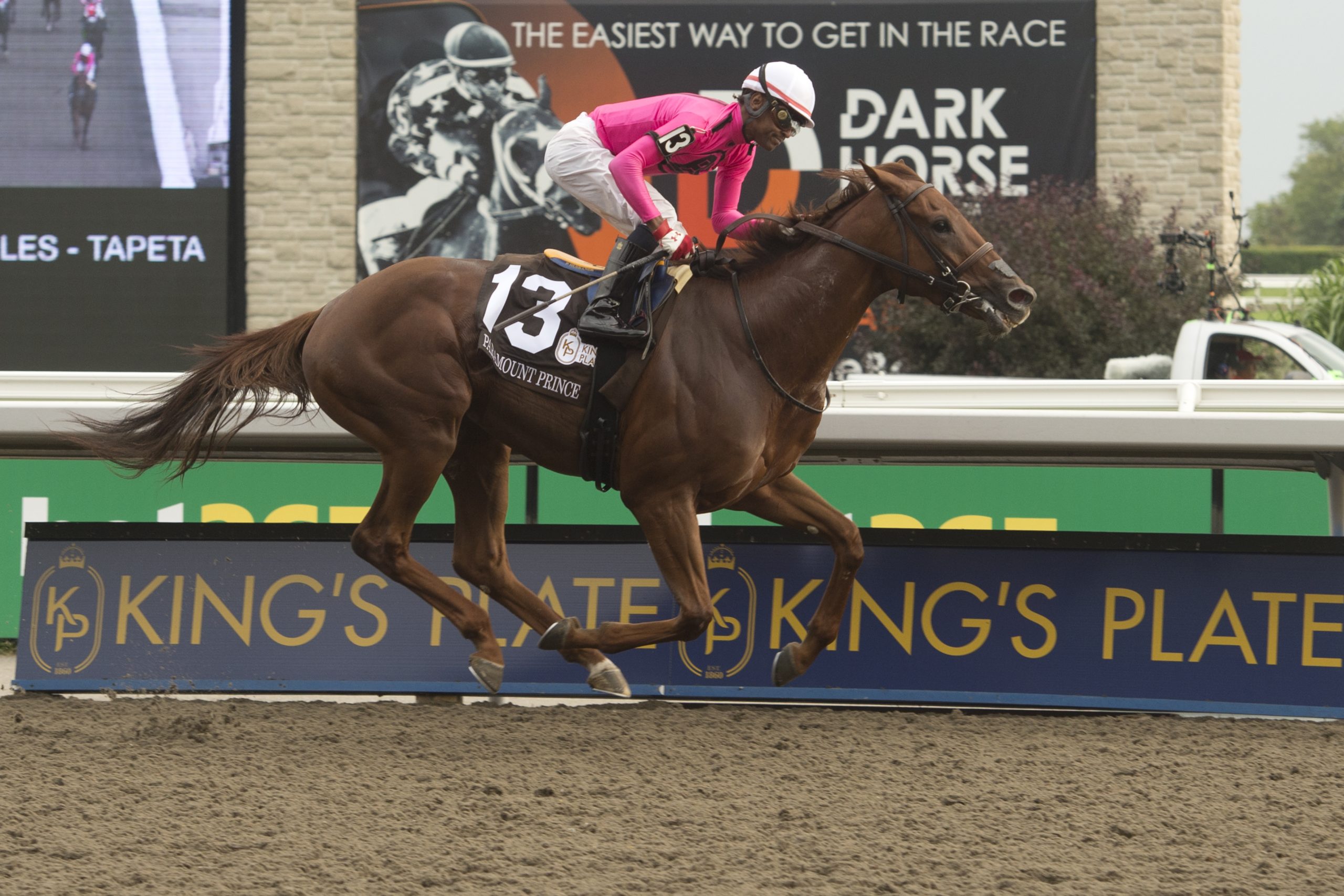 Paramount Prince and jockey Patrick Husbands winning The 164th King's Plate at Woodbine (Michael Burns Photo)