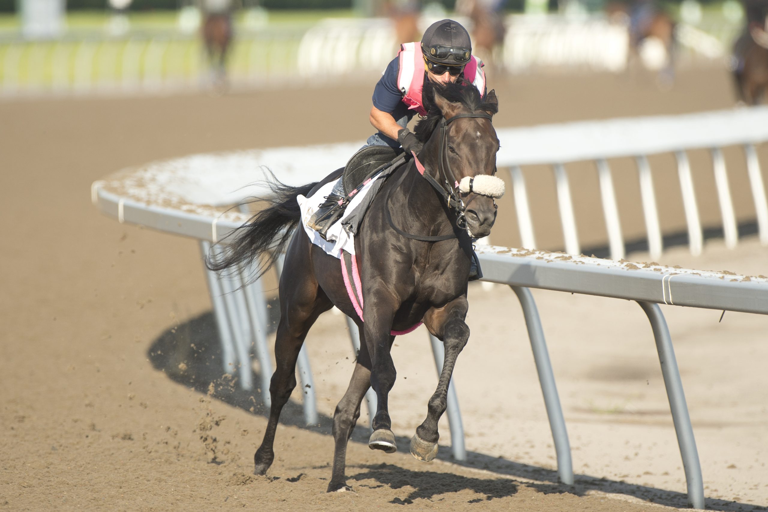 Stanley House breezes in preparation under exercise rider Dino Luciani for trainer Michael De Paulo (Michael Burns Photo)