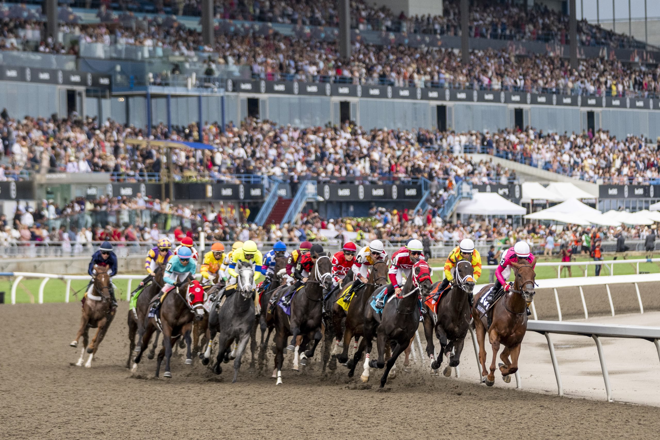 The 164th King's Plate (Michael Burns Photo)