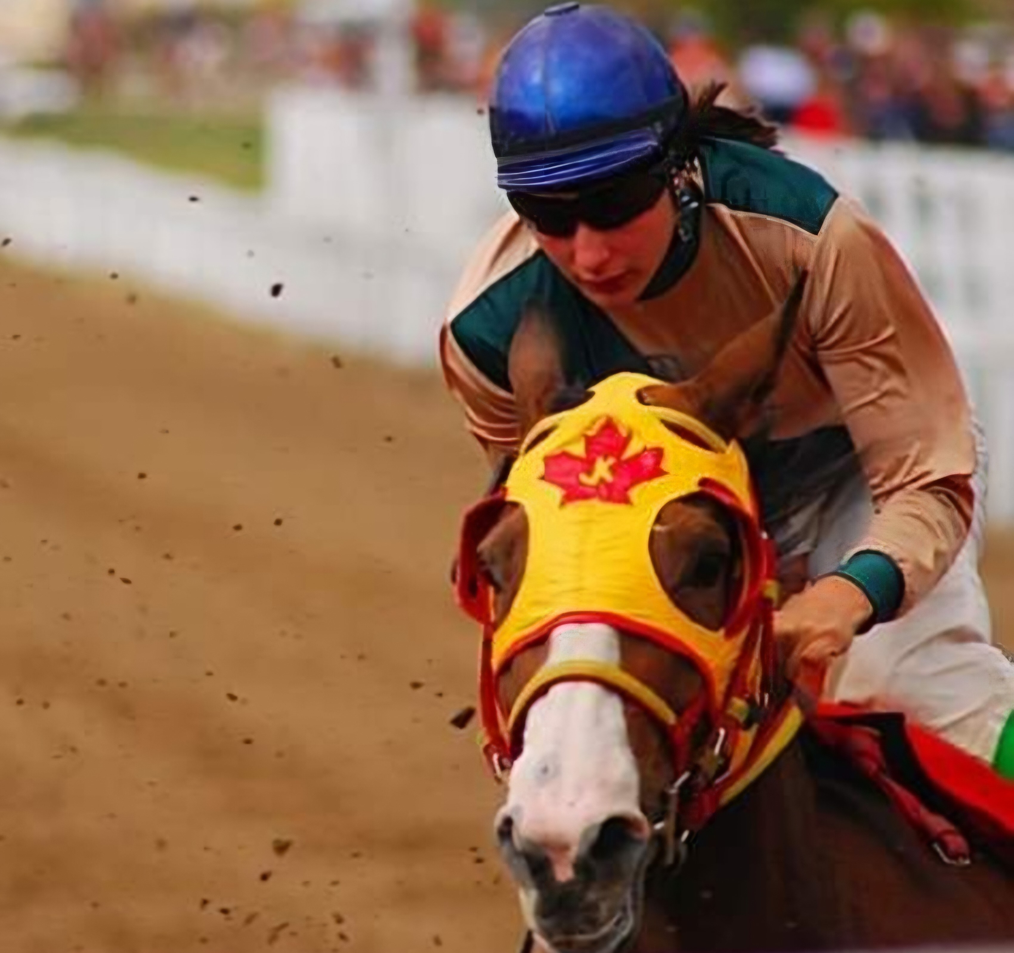 Krista Cole riding in the quarter horse races in reckless relegate