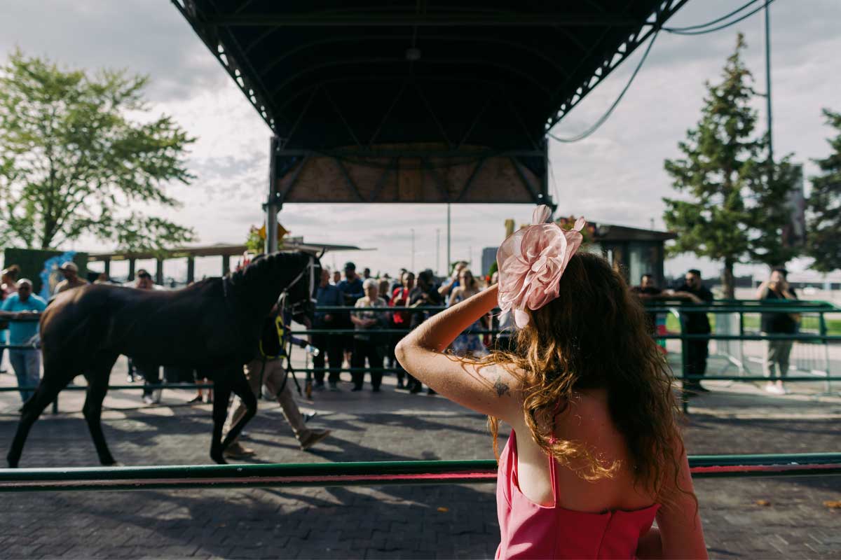 Horses at the paddock at King's Plate event