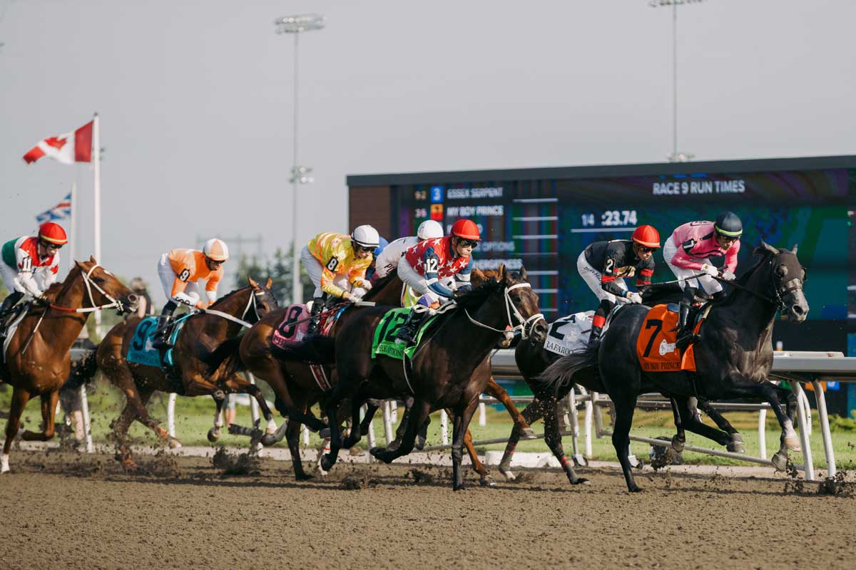 Horses competing during King's Plate race