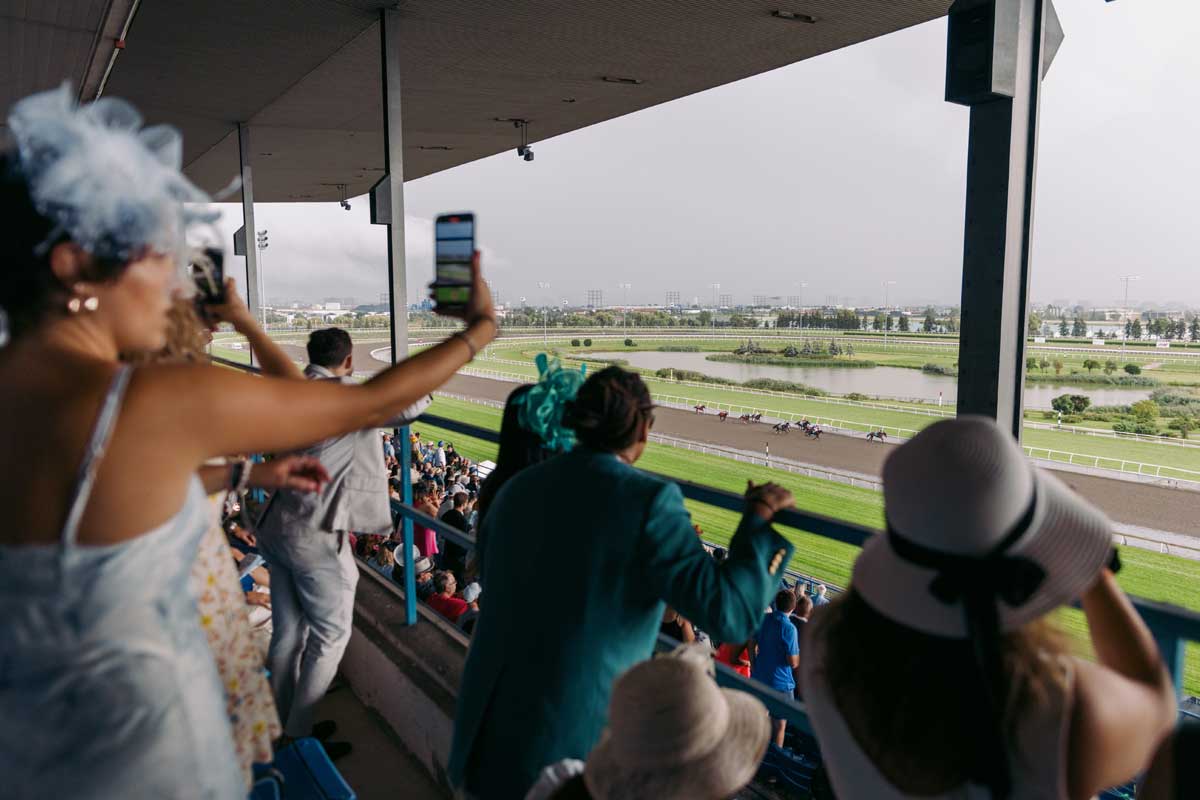 A view of the King's Plate race from the Grandstand at Woodbine Racetrack.