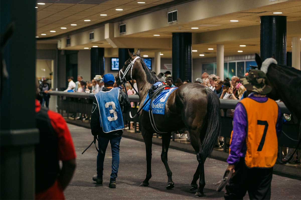 Watching horses at the Paddock during King's Plate