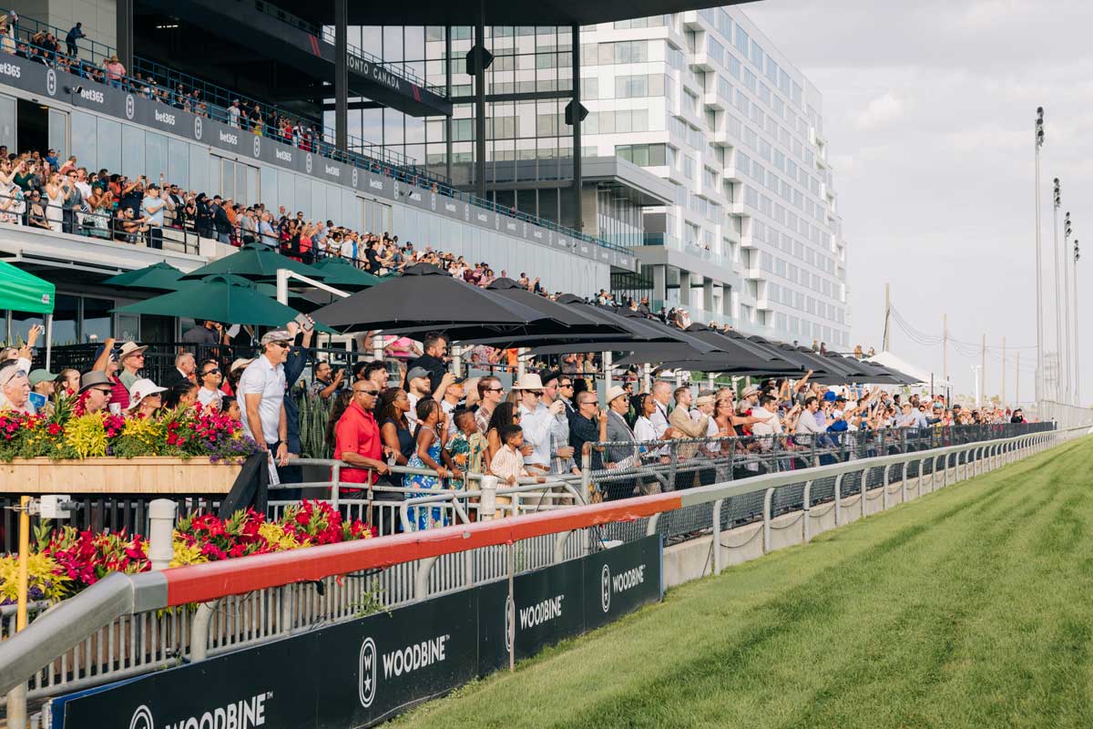 Spectators cheering horses from Homestretch Bar and Suites at Woodbine Racetrack.