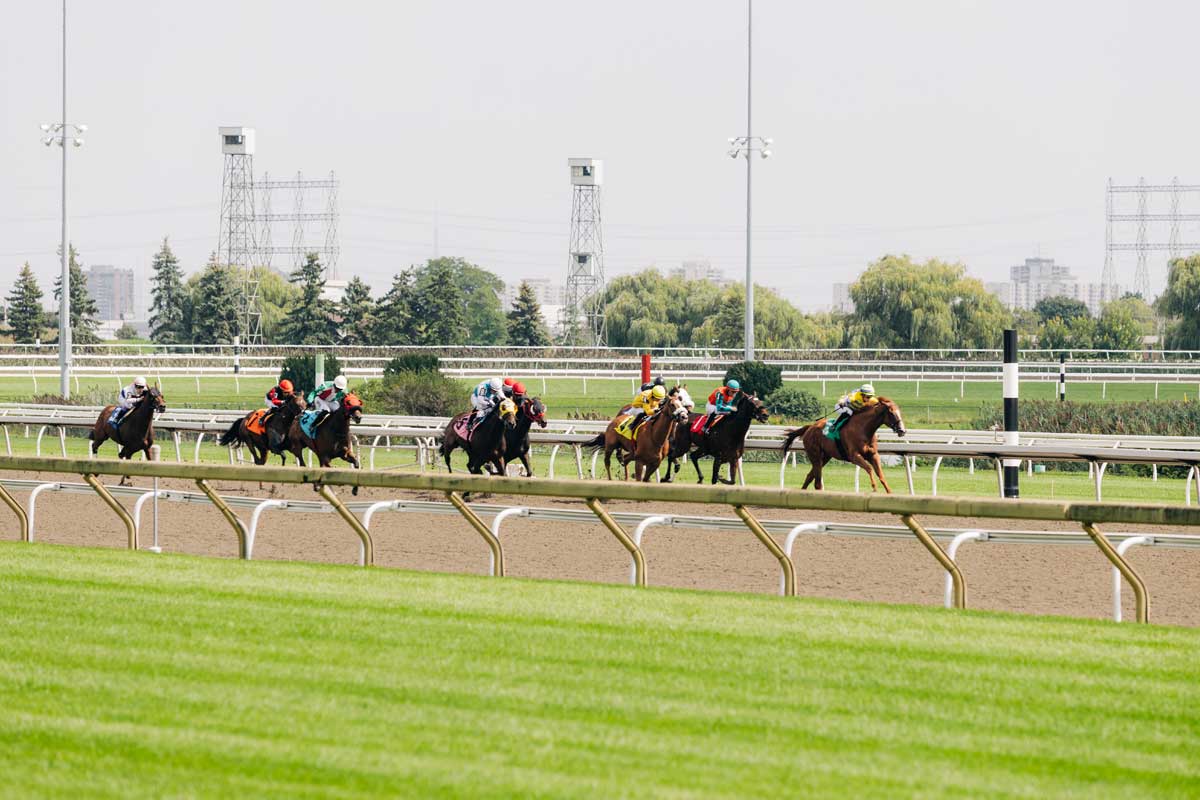 A view of the 2024 Kings Plate race at Woodbine Racetrack.