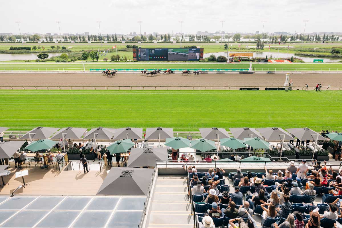 A view of the finish line during Kings Plate race at Woodbine Racetrack.