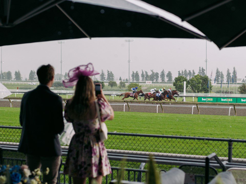 At The Rail King's Plate Experience At Woodbine Racetrack