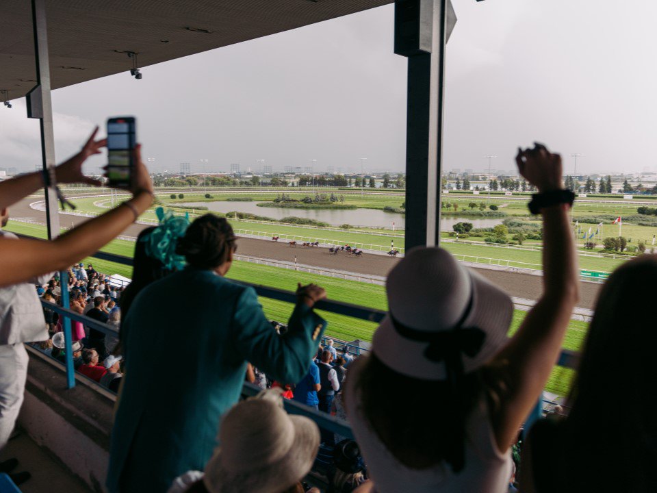 Woodbine Racetrack Grandstand Ticket Experience For King's Plate