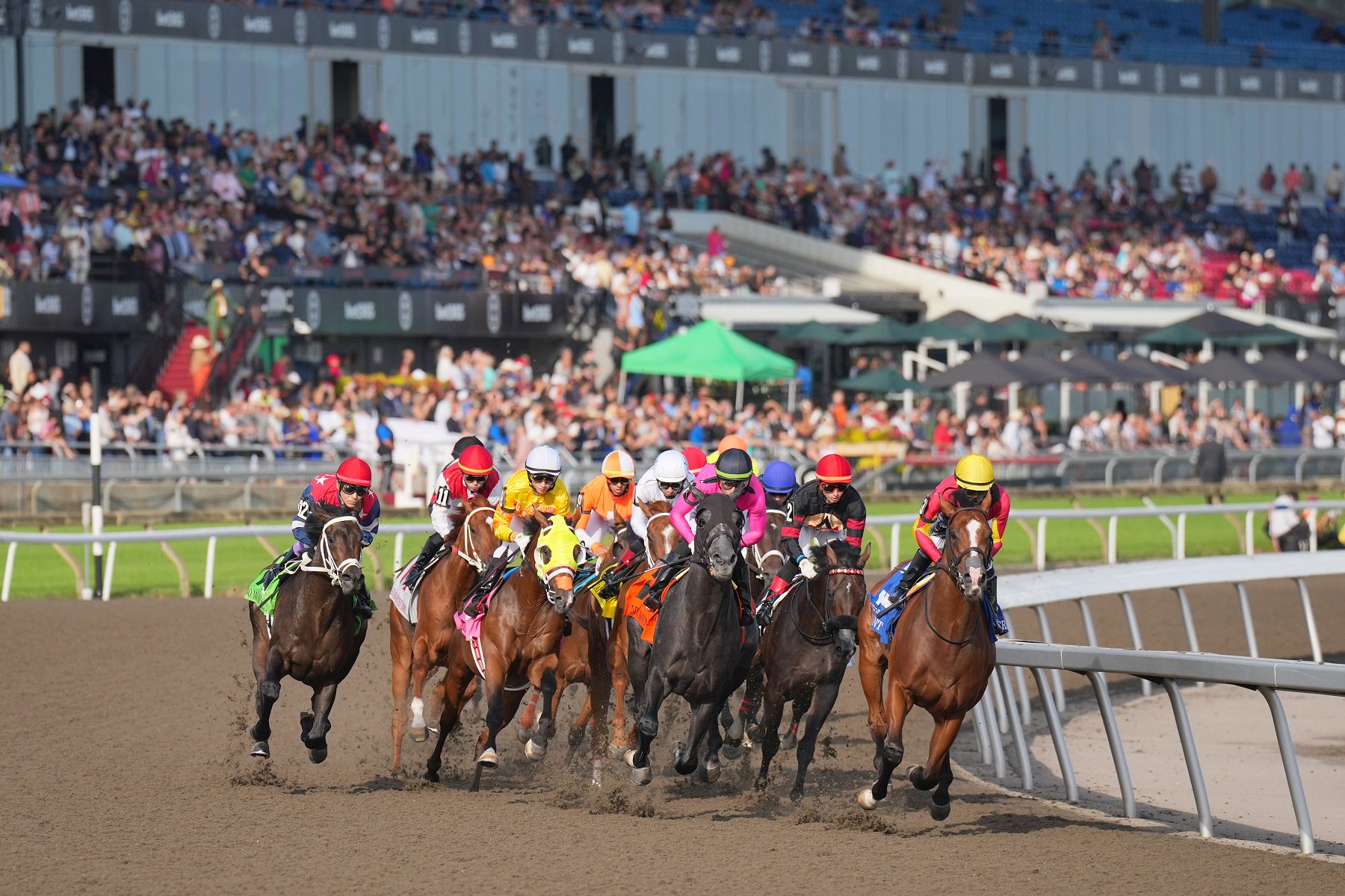 Jockey Rafael Hernandez guides Caitlinhergrtness to victory in the 165th running of the $1 million King's Plate at Woodbine Racetrack. (Michael Burns Photo)