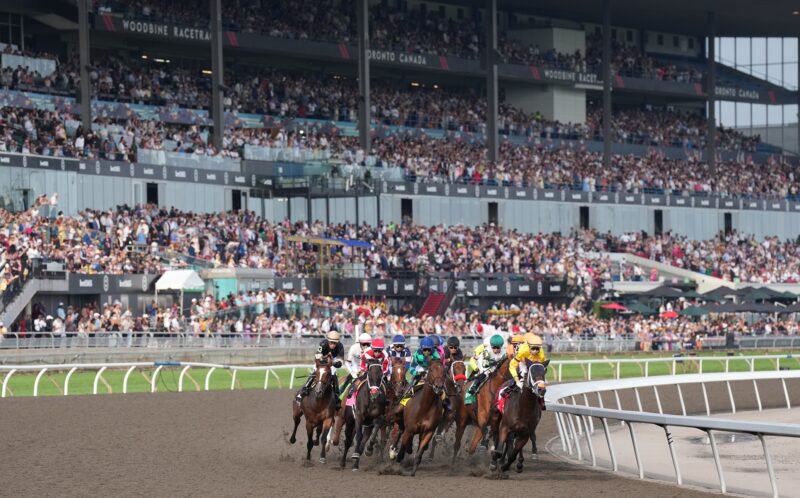 Toronto ON, August 16, 2025.Woodbine Racetrack.Jockey Pietro Moran guides Mansetti to victory in the 166th running of the $1,000,000 dollar King's Plate in a time of 2.02.1 for the 1Mi.1/4.Mansetti is owned by Al and Bill Ulwelling and trained by Kevin Attard.Woodbine/ Michael Burns Photo