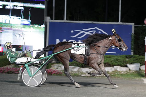 Stephen Pears Racing Paster Stephen, Big Rigs & Blue Porsche Take $103,673 Champlain Stakes ...