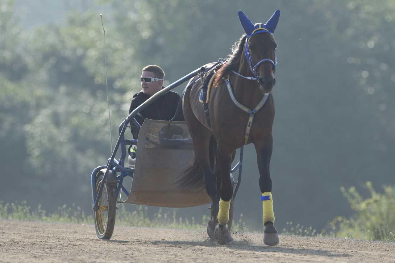 Stars Qualify Friday At Woodbine Mohawk Park - Woodbine Mohawk Park