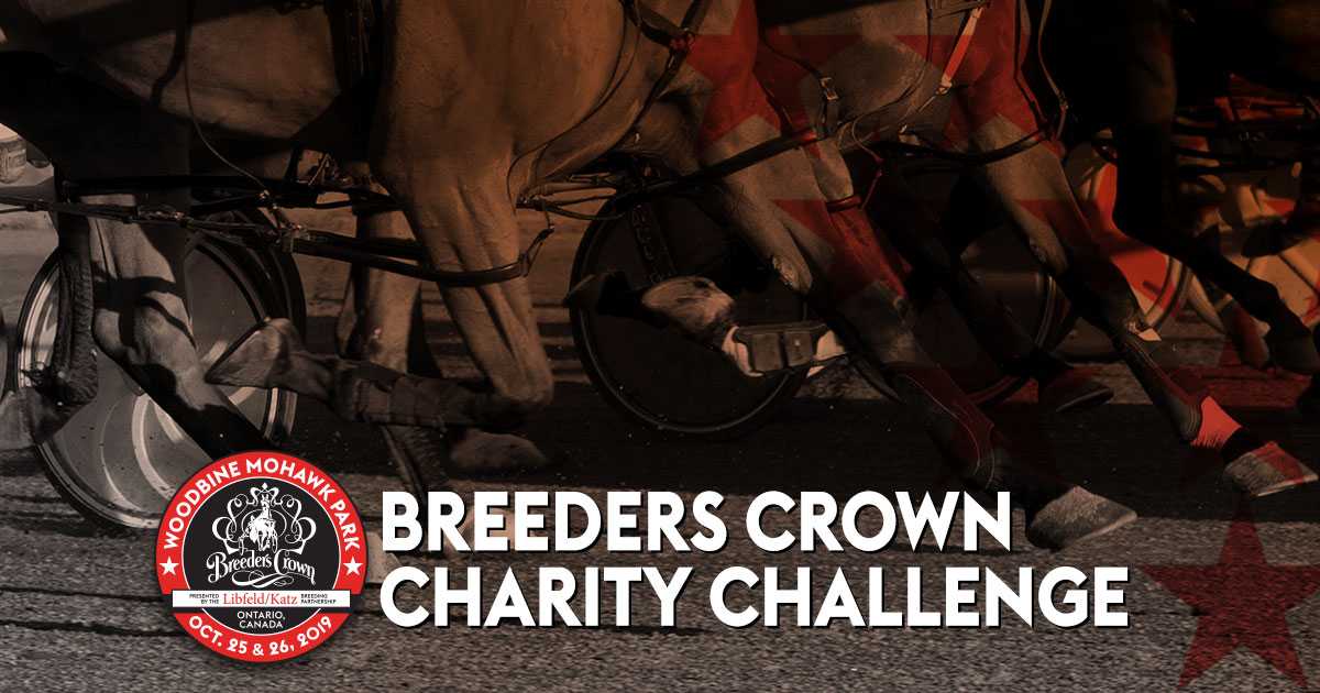 Breeders Crown Charity Challenge breeding auction unveiled