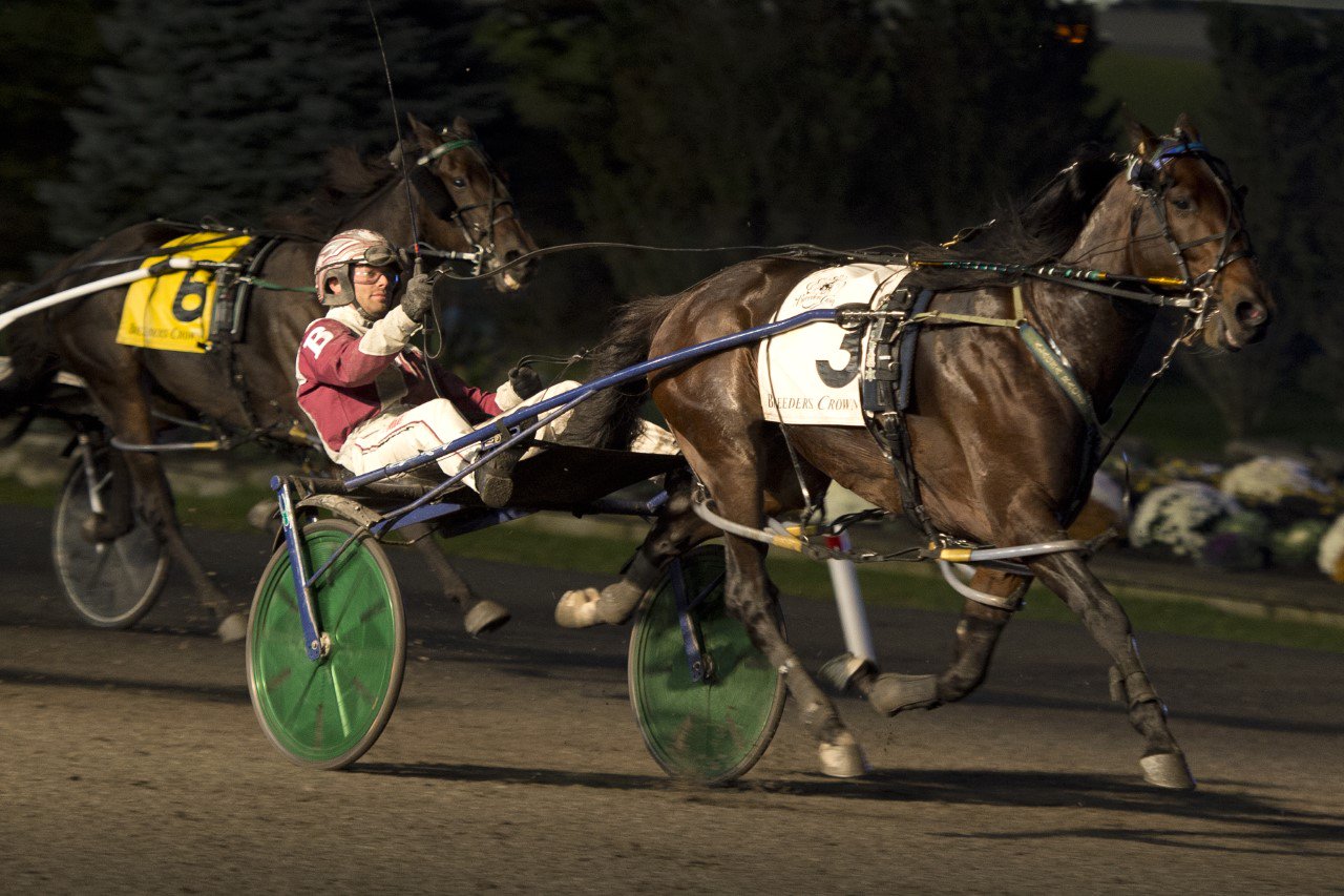 American History carves victory in Breeders Crown Open Pace