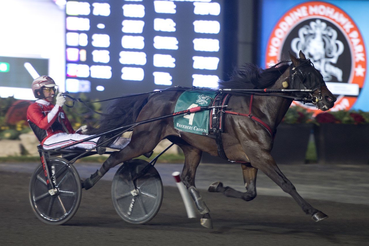 Amigo Volo vaults to victory in Breeders Crown Two-Year-Old Colt Trot