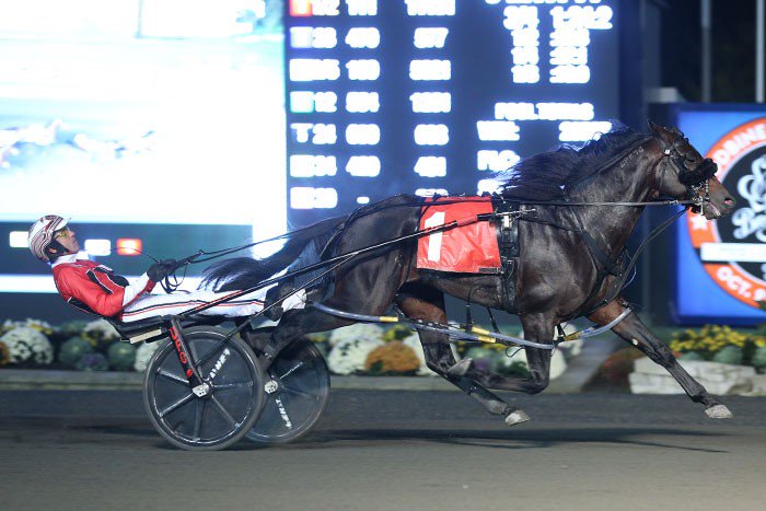 Dunn sweeps 3-Year-Old Colt Pace elims to cap off memorable night