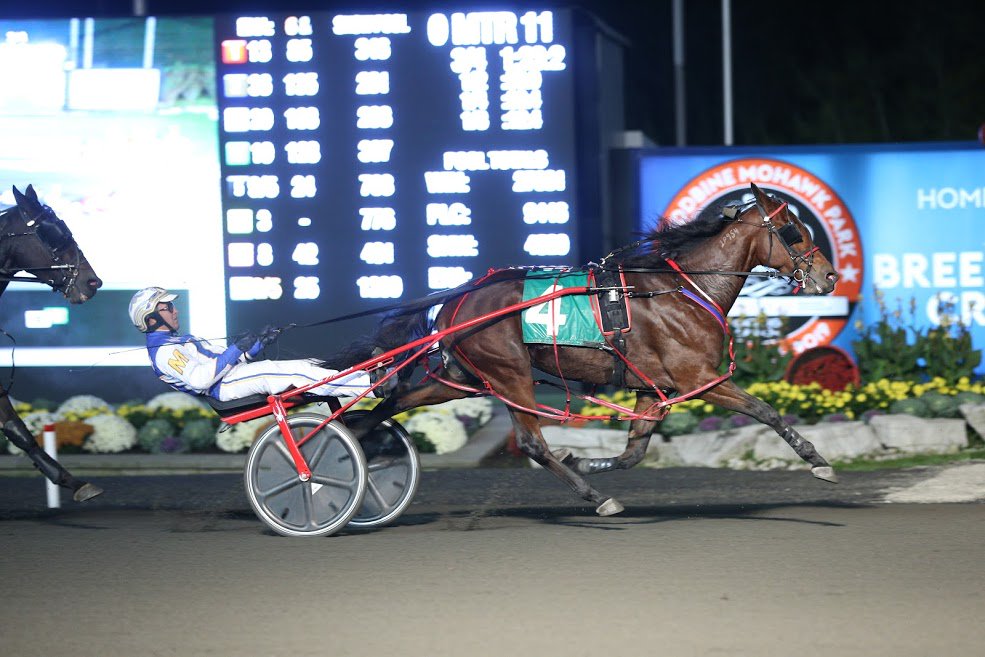 MacIntosh making moves into Breeders Crown