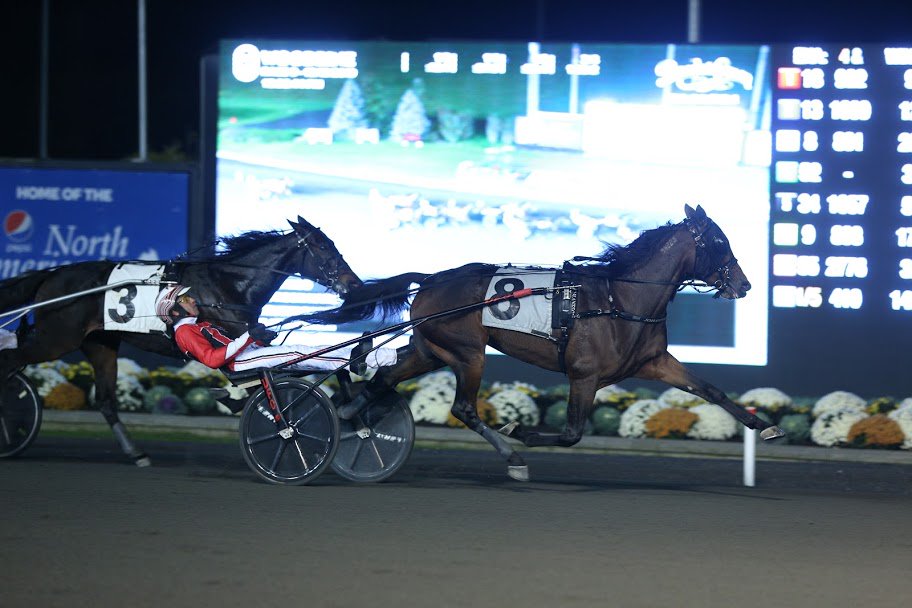 Dunn sweeps Mare Trot Crown eliminations