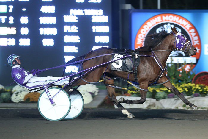 Bates secures 'Priceless' spot in Breeders Crown 2-Year-Old Filly Pace