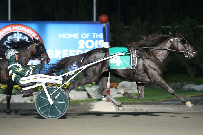 Gingras sweeps #Crown19 rookie trot eliminations