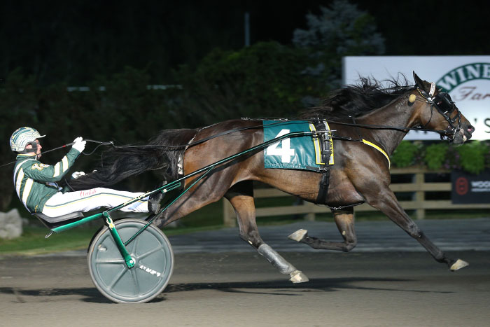 Yannick Gingras guides superstar, Atlanta, to victory in the 2020 edition of the Maple Leaf Trot at Woodbine Mohawk Park. (New Image Media) 