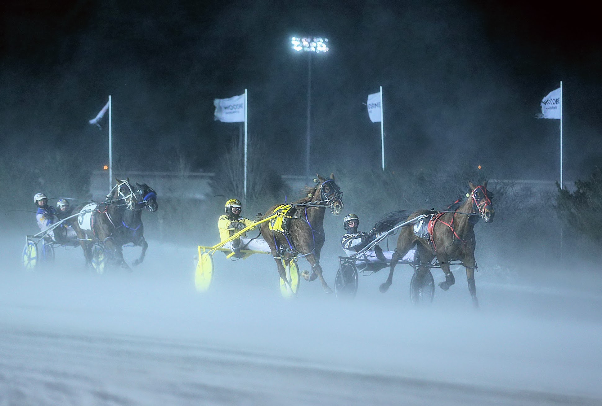 mohawk park racing