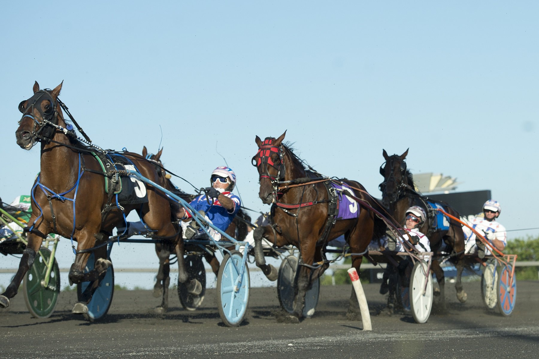 Standardbred Racing To Resume At Woodbine Mohawk Park This Friday ...