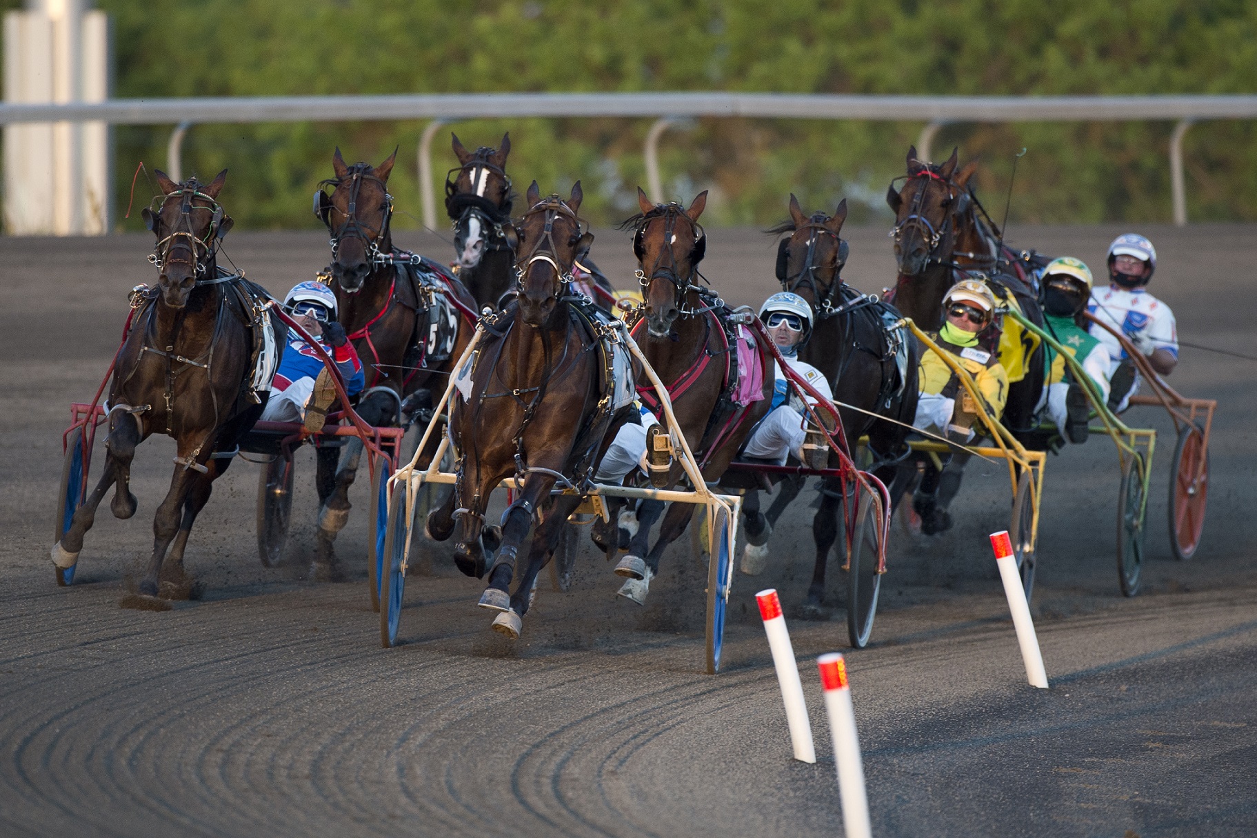 Spectators Welcomed ‘Back on Track’ at Woodbine Mohawk Park - Woodbine ...